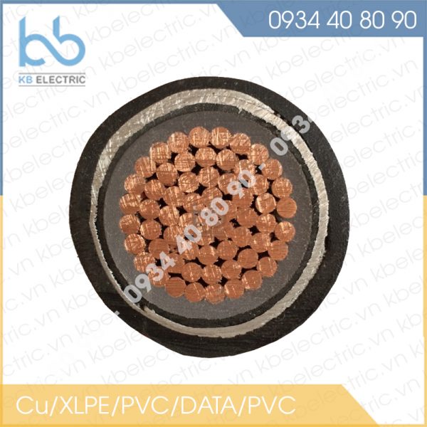 cap dien ls vina Cu-XLPE-PVC-DATA-PVC 300 sqmm-12-20(24)KV kbelectric-vn