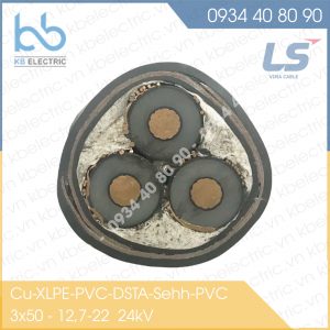 CU/XLPE/PVC/DSTA-Sehh/PVC 3X50